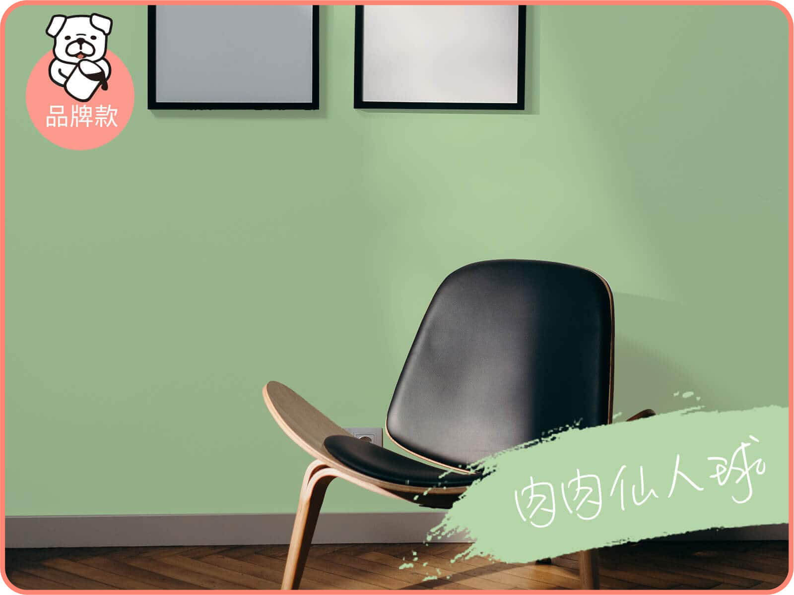 品牌款 肉肉仙人球｜dH風格油漆